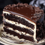 Chocolate Cream Cheese Cake with Cream Cheese Filling