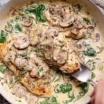 Creamy Mushroom Chicken Recipe