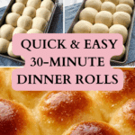 Easy 30-Minute Dinner Rolls Recipe