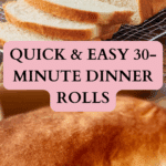 Easy 30-Minute Dinner Rolls Recipe
