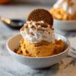 Vegan Pumpkin Spice Ice Cream Recipe