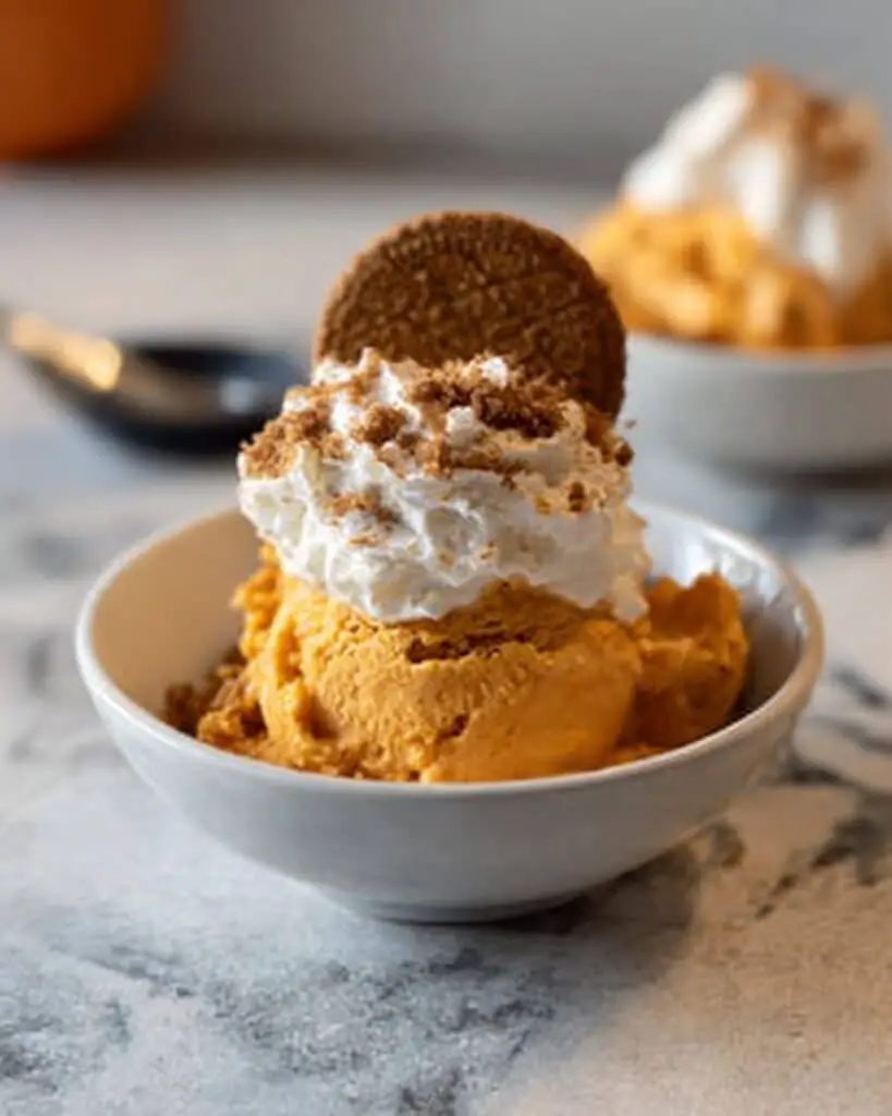 Vegan Pumpkin Spice Ice Cream Recipe