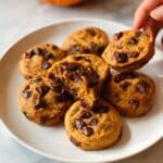 Pumpkin Protein Muffins with Chocolate Chips Recipe