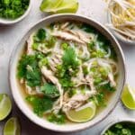 Almost Instant Chicken Pho Recipe