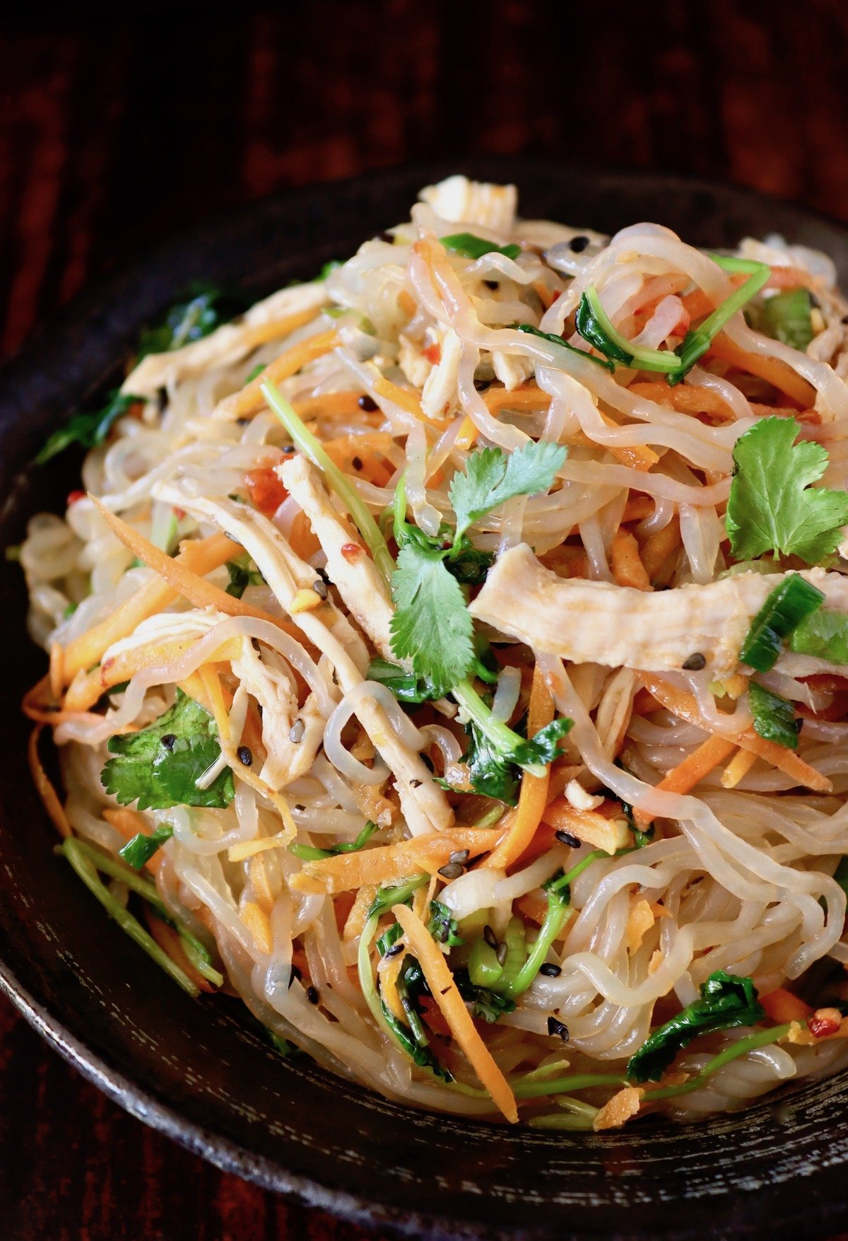 Chicken Stir Fry with Shirataki Noodles and Fresh Vegetables Recipe - Recipe Image