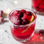 Cranberry Apple Holiday Mocktail Recipe
