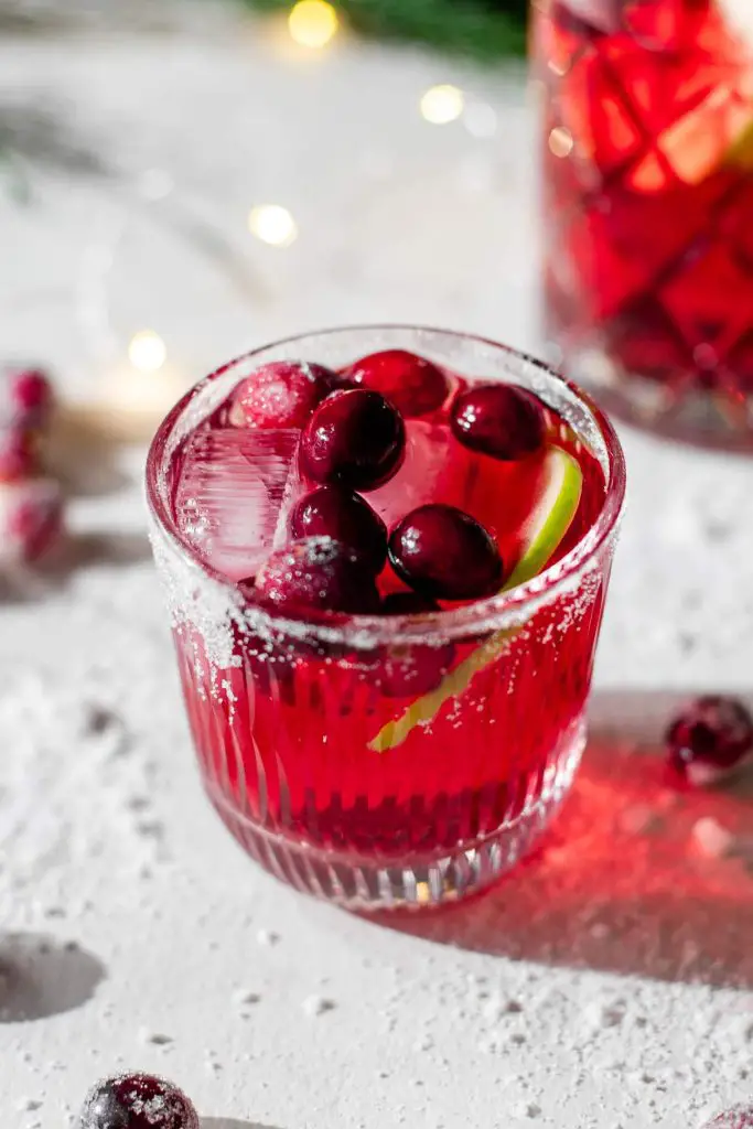 Cranberry Apple Holiday Mocktail Recipe