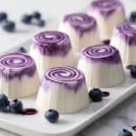 Blueberry Swirl Yogurt Bites Recipe