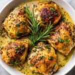 Honey Dijon Chicken Recipe