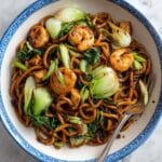Asian Saucy Shrimp Udon Noodles in 15 Minutes Recipe