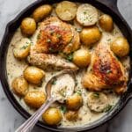 Dutch Oven Creamy Ranch Chicken & Potatoes Recipe