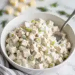 Apple Chicken Salad Recipe