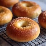 Salted Rosemary Wheat Bagels Recipe