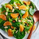 Mandarin Salad with Citrus Vinaigrette Recipe